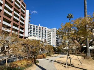 34362543 m 1 300x225