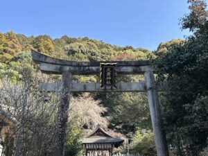 34364120 m 1 300x225