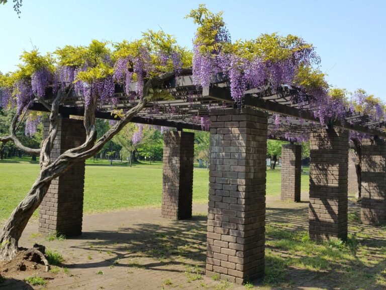 34395349 m 1 768x576