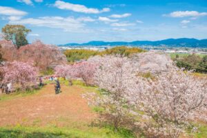 34408105 m 1 300x200